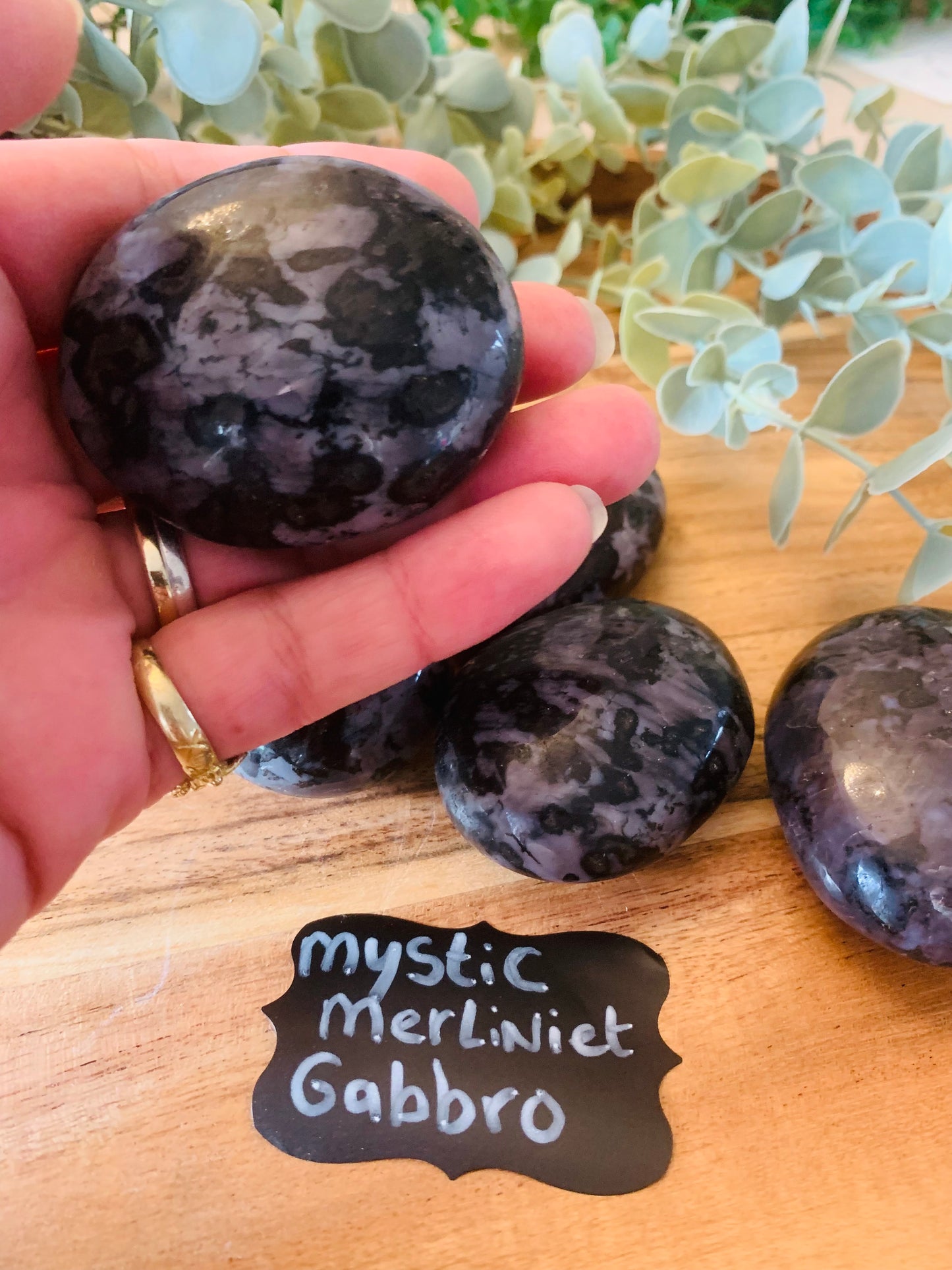 Palmsteen - Mystic Merliniet Gabbro