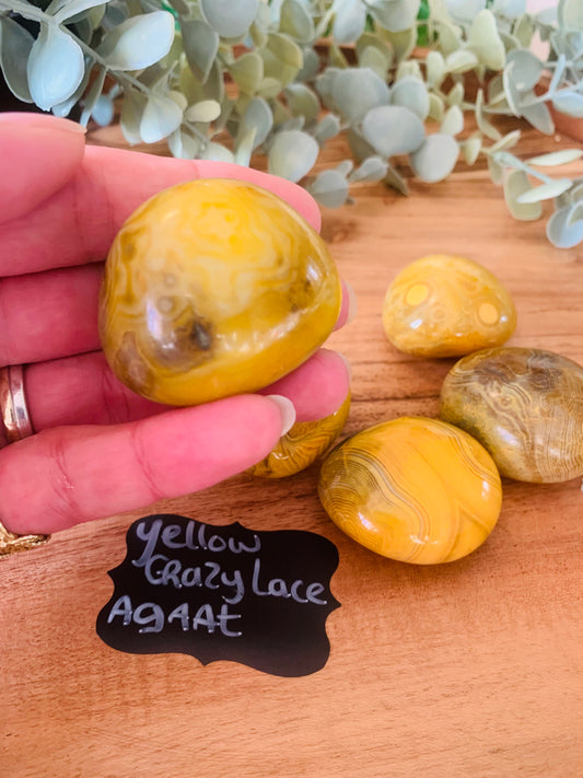 Palmsteen - Yellow Crazy Lace Agaat