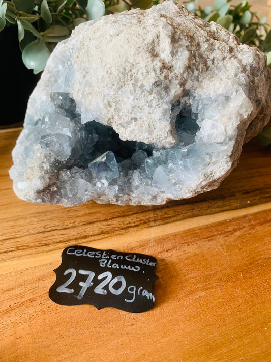 Celestien - (2720 g)