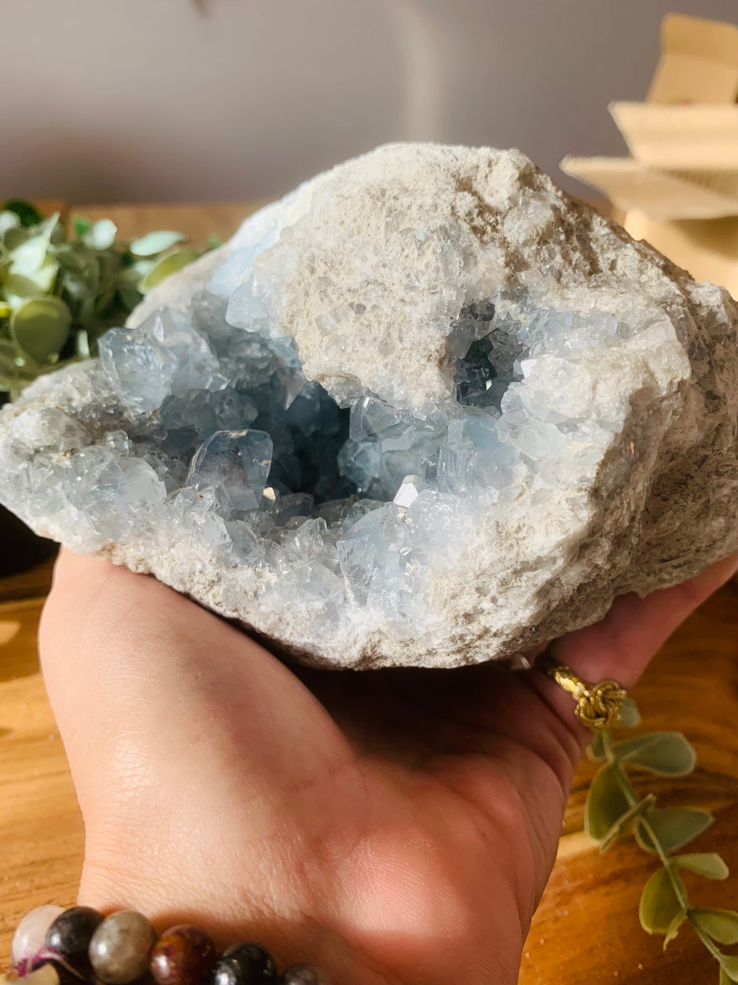 Celestien - (2720 g)