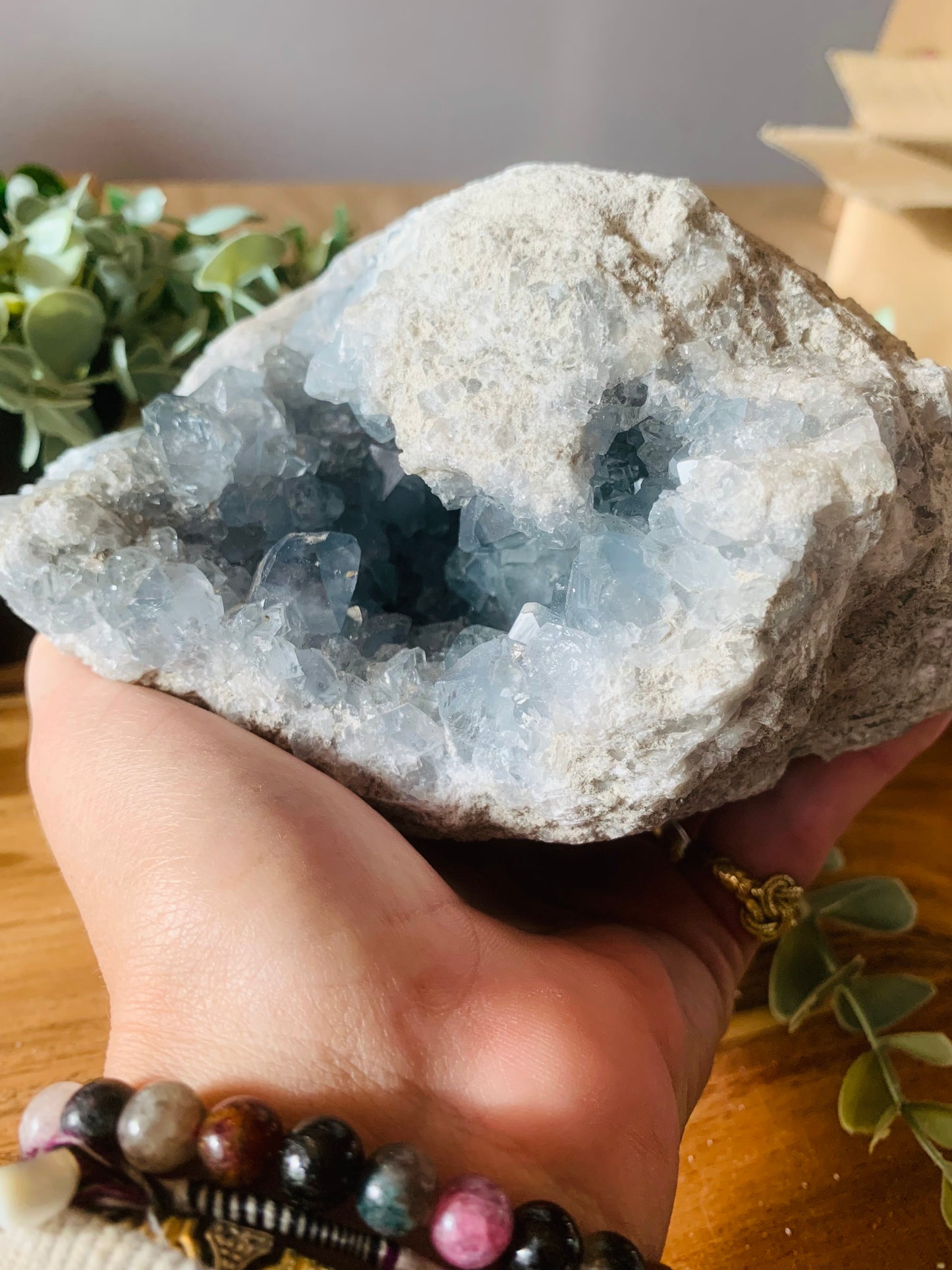 Celestien - (2720 g)