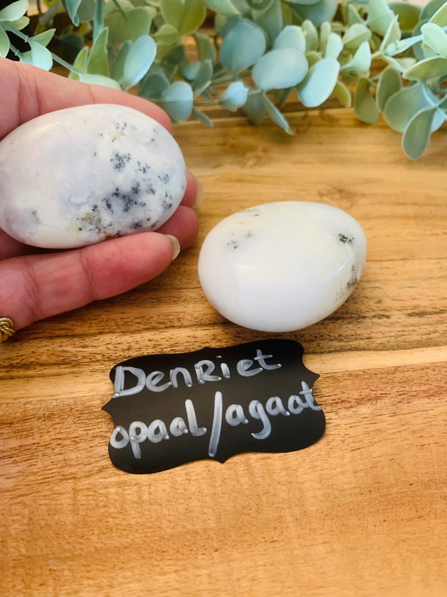 Palmsteen - Denriet - Opaal - Agaat