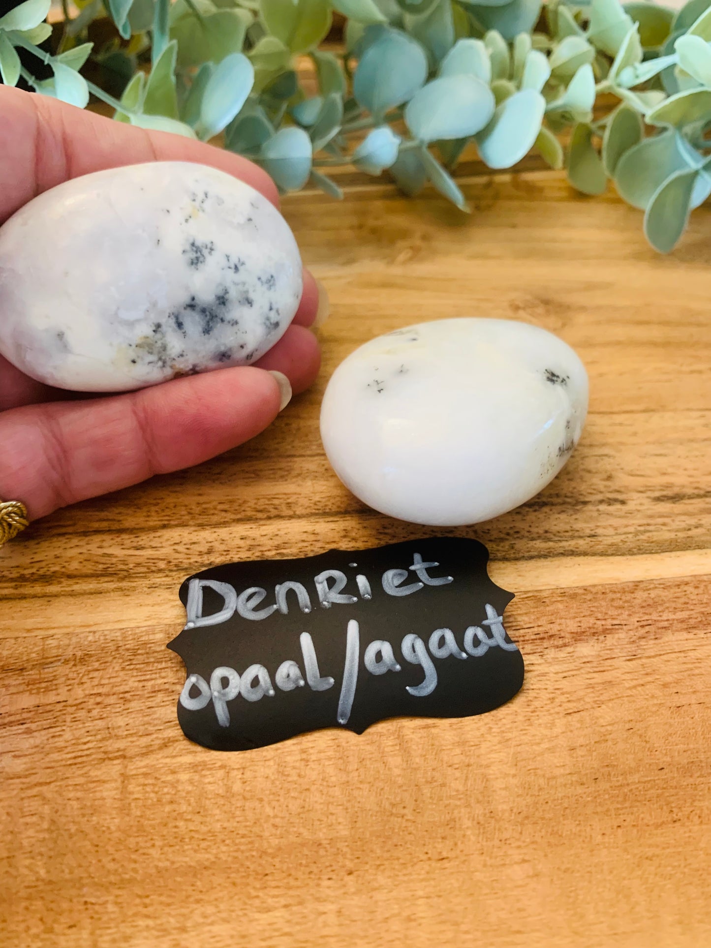 Palmsteen - Denriet - Opaal - Agaat