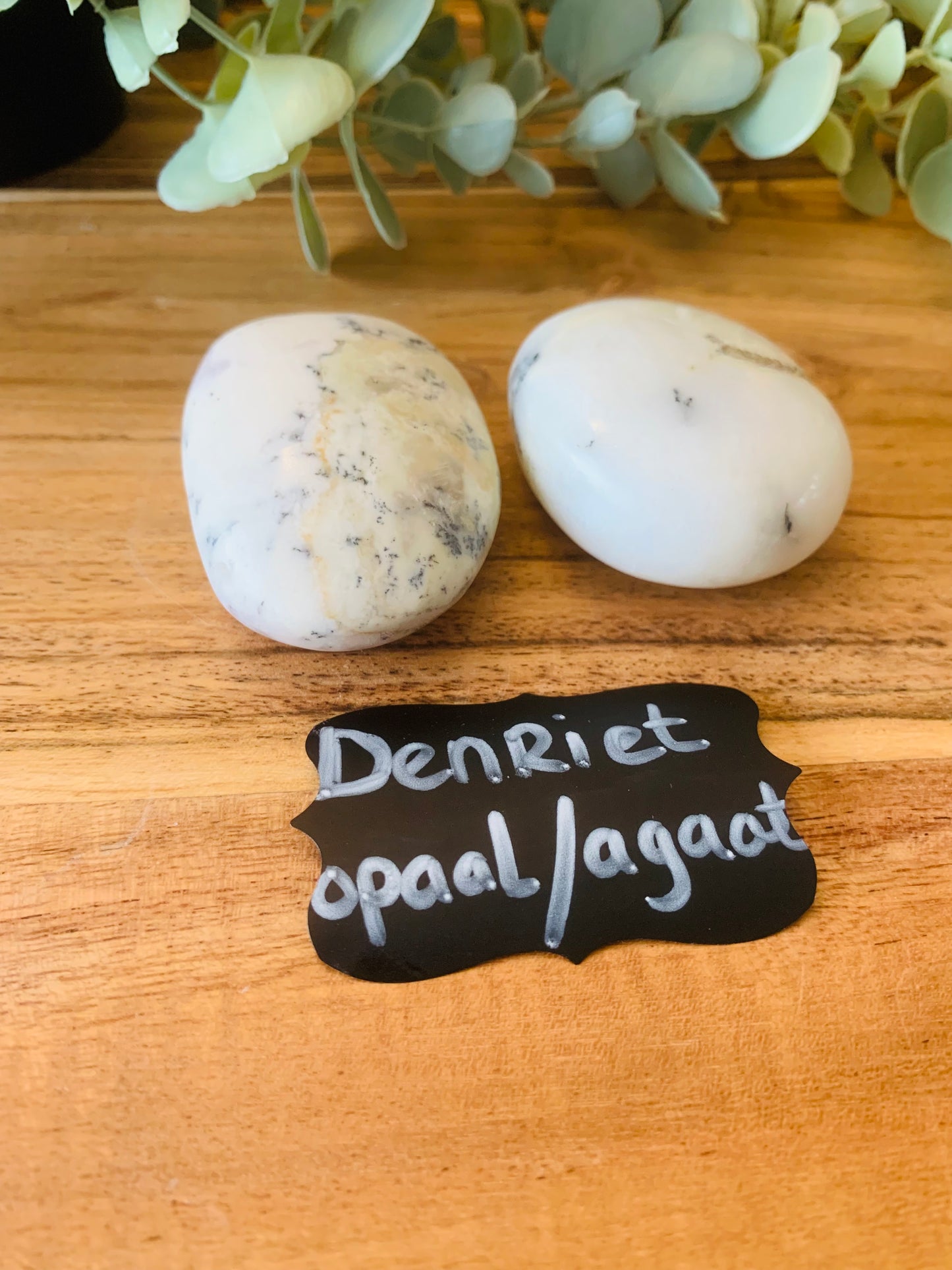 Palmsteen - Denriet - Opaal - Agaat