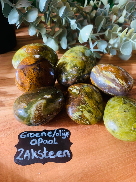 Palmsteen - Groene Olijf - Opaal