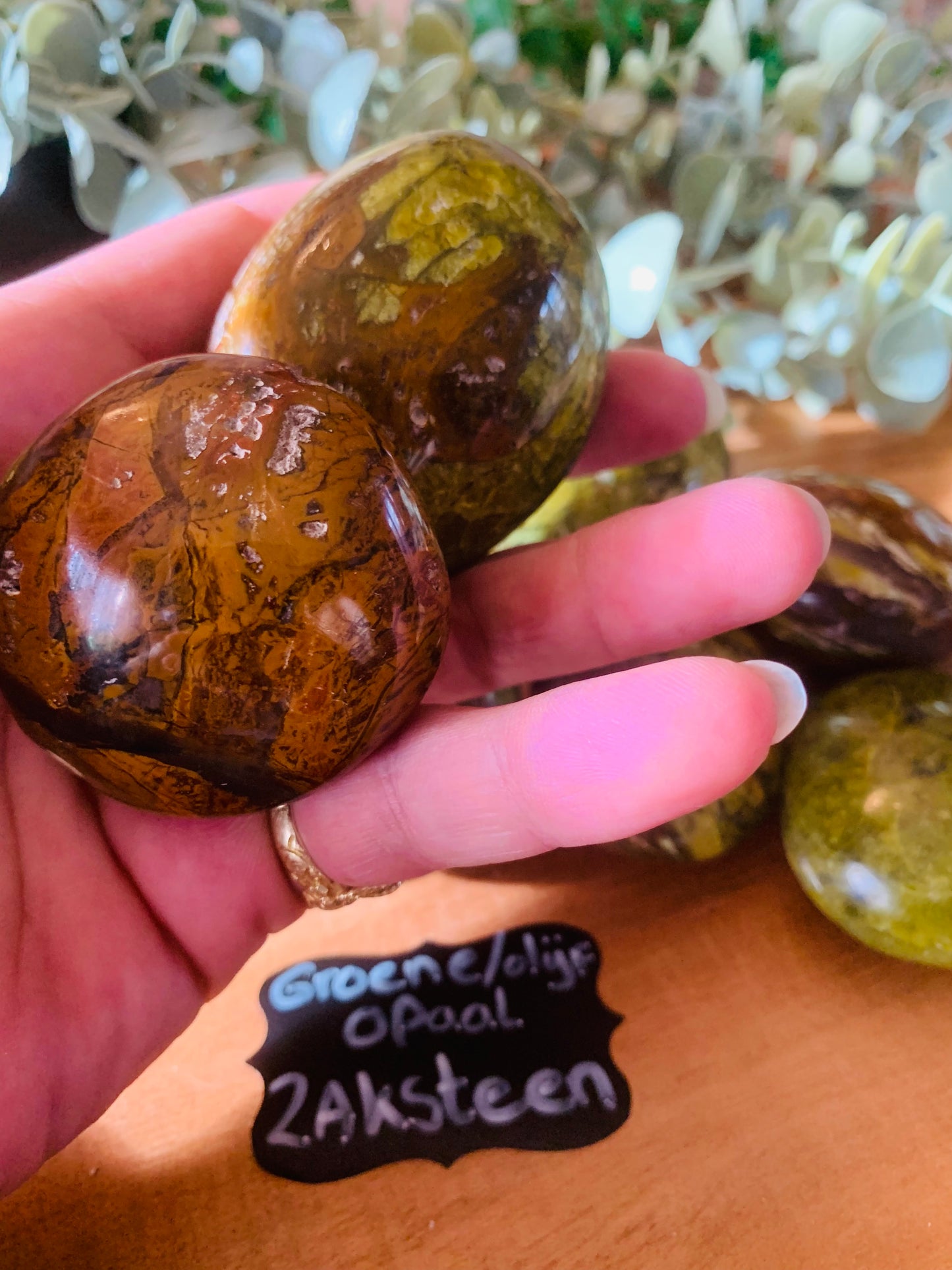 Palmsteen - Groene Olijf - Opaal