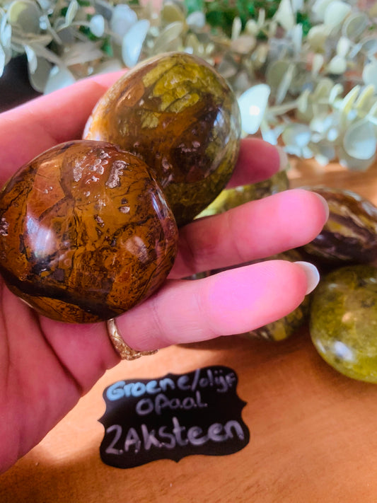 Palmsteen - Groene Olijf - Opaal