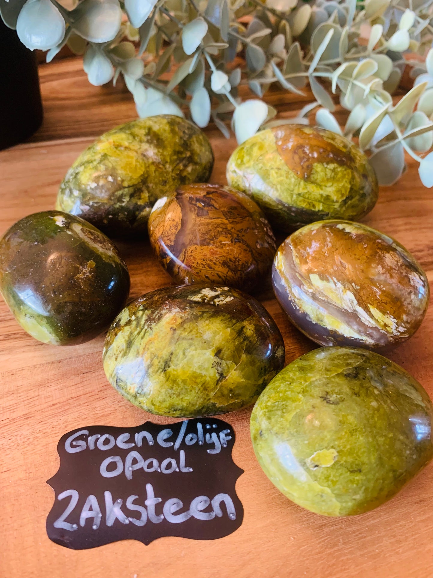 Palmsteen - Groene Olijf - Opaal