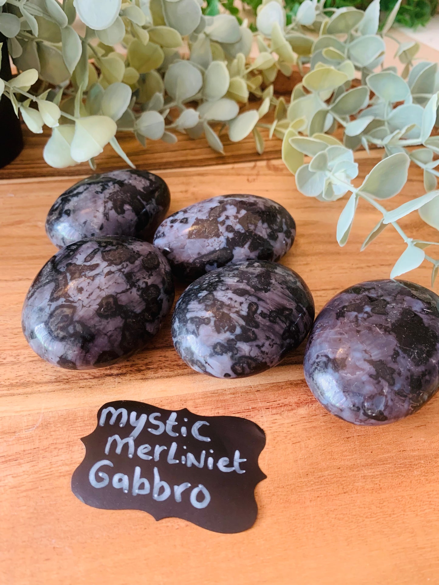 Palmsteen - Mystic Merliniet Gabbro