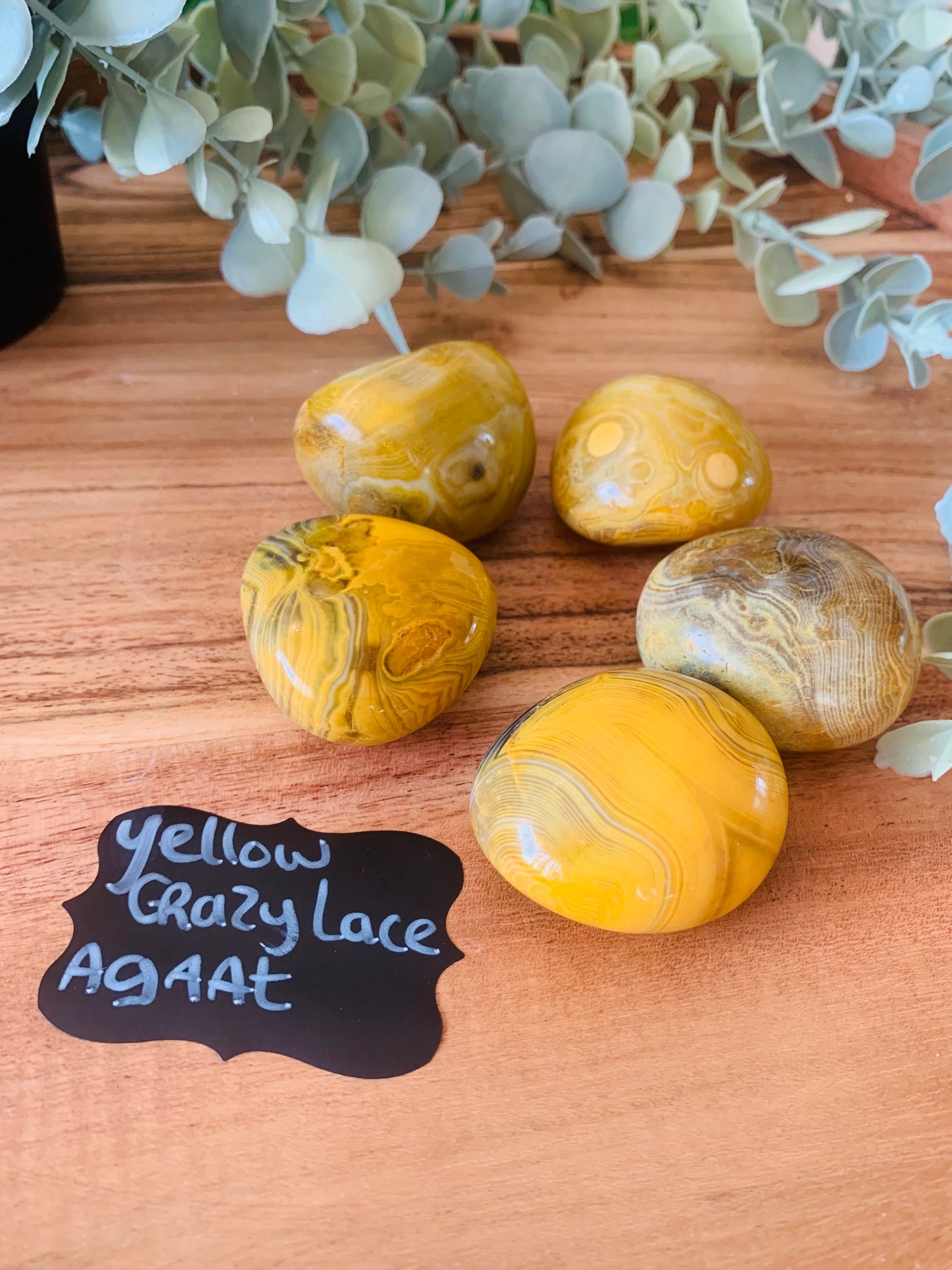 Palmsteen - Yellow Crazy Lace Agaat