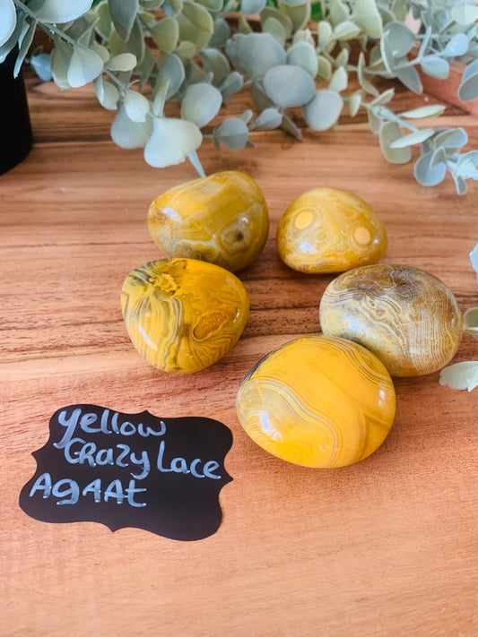 Palmsteen - Yellow Crazy Lace Agaat