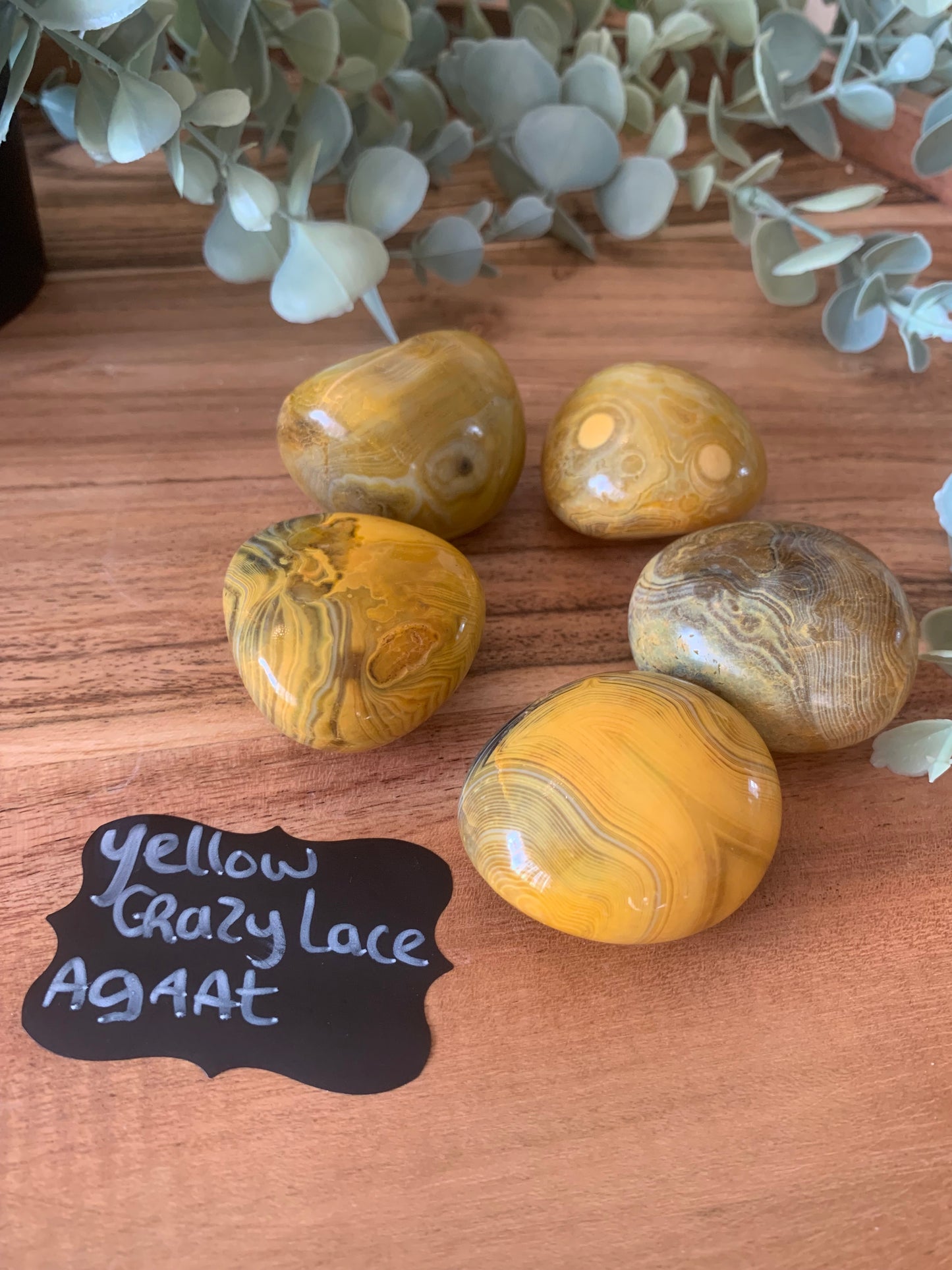 Palmsteen - Yellow Crazy Lace Agaat