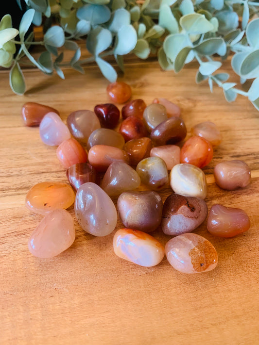 Trommelsteen - Carneool