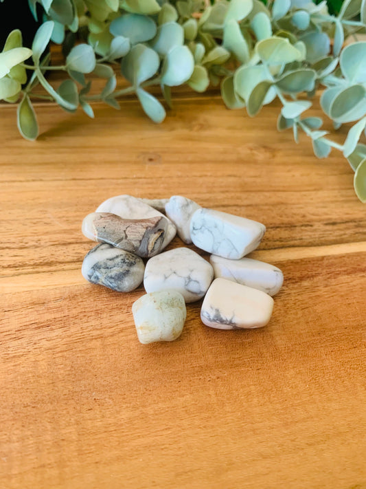 Trommelsteen - Howliet